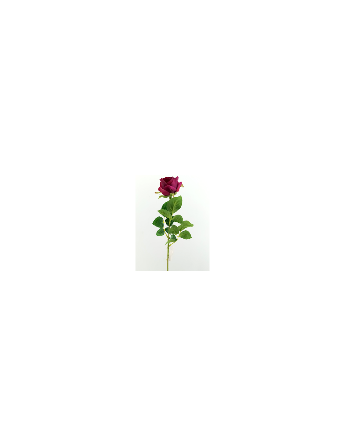 FIORE 40000004-22 ROSA COLOMBIANA BURGUNDY 65CM