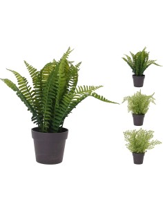 VASO 317220020 CON PIANTA 23X28 ASS