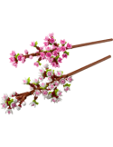 LEGO Creator Fiori di Ciliegio 40725, Set Floreale da Costruire, Decorazione per Casa, Regalo per Adulti e Bambini
