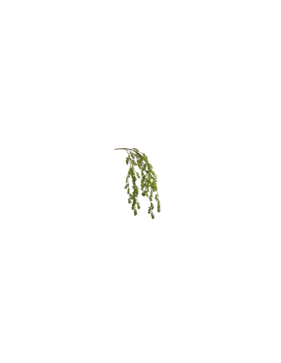 STELO 18160044-01 CESPUGLIO MUSCHIO 80CM VERDE
