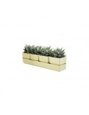 SIERRA VASO 38CM CURRY su TreG Ingrosso