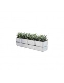 SIERRA VASO 48CM BIANCO su TreG Ingrosso
