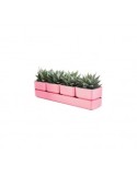 SIERRA VASO 48CM CORALLO su TreG Ingrosso