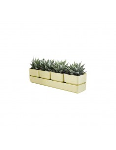 SIERRA VASO 48CM CURRY su TreG Ingrosso