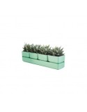 SIERRA VASO 48CM VERDE OLIVA su TreG Ingrosso
