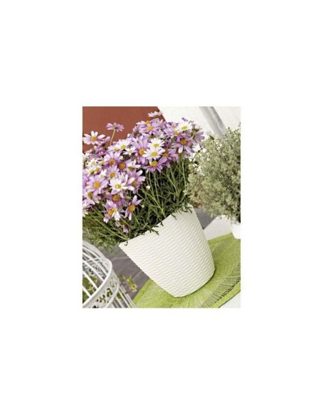PORTAVASO PAGLIA D 29 X H 27 CM PANNA su TreG Ingrosso