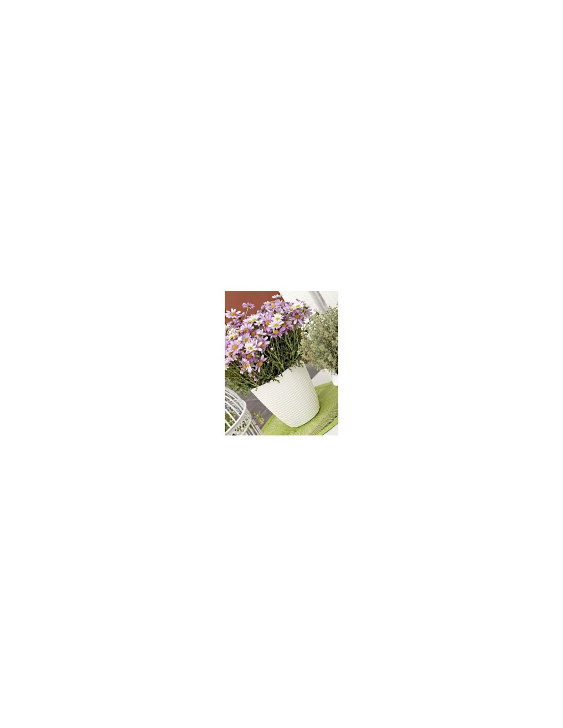 PORTAVASO PAGLIA D 29 X H 27 CM PANNA su TreG Ingrosso