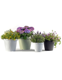 VASO ONDA 31392 20CM SALVIA