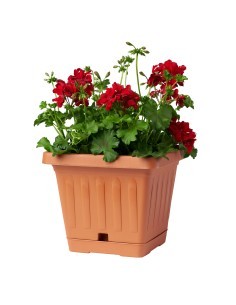 VASO TERRA 30399 QUADRATO 20X20 TERRACOTTA