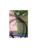 ETHICA VASO 68052 VERDE OLIVA 20CM su TreG Ingrosso