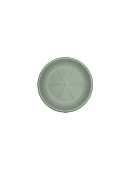 SOTTOVASO 26104 24CM SALVIA su TreG Ingrosso