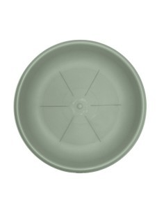 SOTTOVASO 26107 30CM SALVIA su TreG Ingrosso