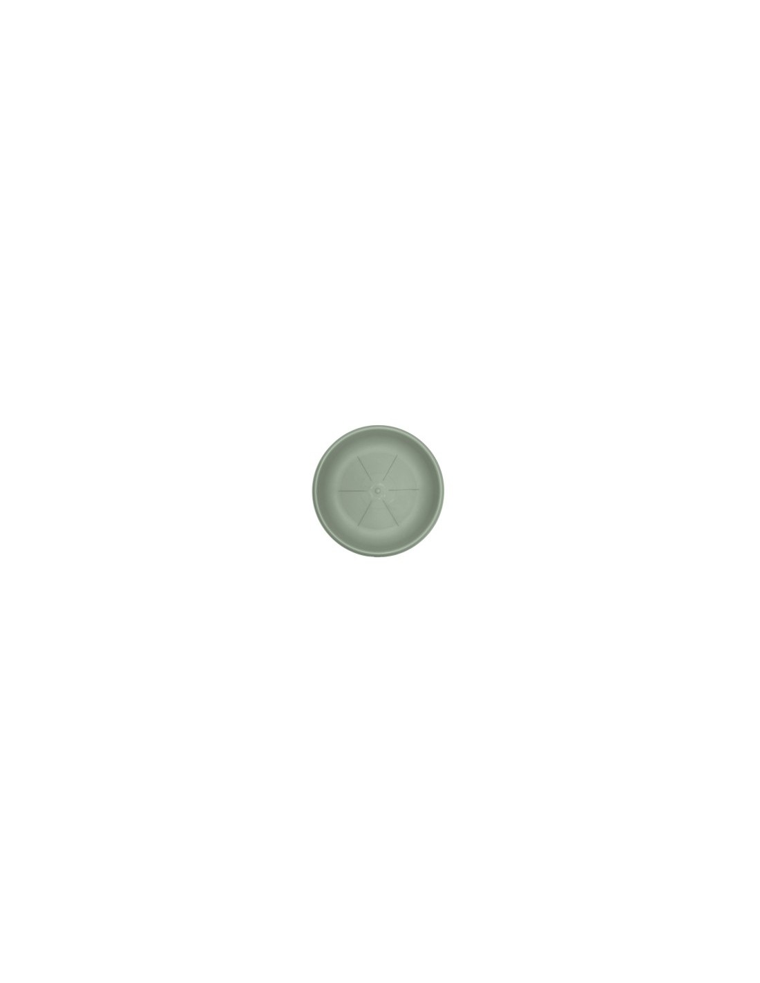SOTTOVASO 26107 30CM SALVIA su TreG Ingrosso