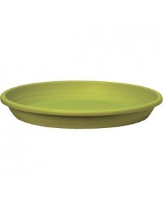 SOTTOVASO CILINDRO 19CM VERDE ANICE su TreG Ingrosso