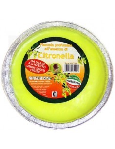 CITRONELLA 12028 ALLUM 12 su TreG Ingrosso