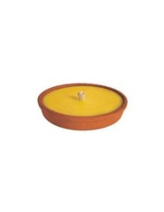 CITRONELLA SUN TERRACOTTA D14CM su TreG Ingrosso