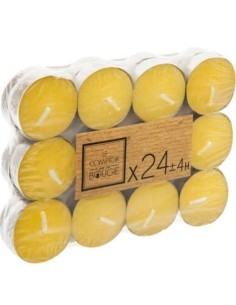 CONF 24 CANDELE 118376BOX CITRONELLA D4CM