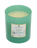 CANDELA PROFUMATA 172760O MONOI COCO 190GR VETRO