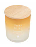 CANDELA PROFUMATA 204705B TERRE DE FEU 255GR VETRO