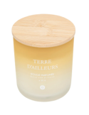CANDELA PROFUMATA 204705C TERRE D'AILLEURS 255GR VETRO