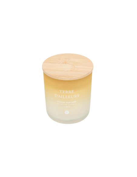 CANDELA PROFUMATA 204705C TERRE D'AILLEURS 255GR VETRO