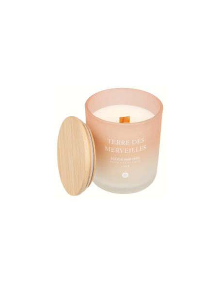 CANDELA PROFUMATA 204705D TERRE DES MERVEILLES 255GR VETRO