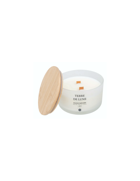 CANDELA PROFUMATA 204706A TERRE DE LUNE 420GR VETRO