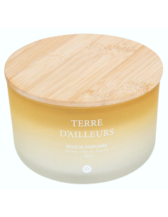 CANDELA PROFUMATA 204706C TERRE DAILLEURS 420GR VETRO