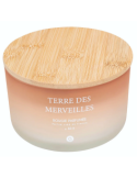 CANDELA PROFUMATA 204706D TERRE DES MERVEILLES 420GR VETRO