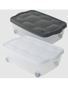 STORAGE BOX TARTARUGO COLORI ASSORTITI BELLI E FORTI su TreG Ingrosso