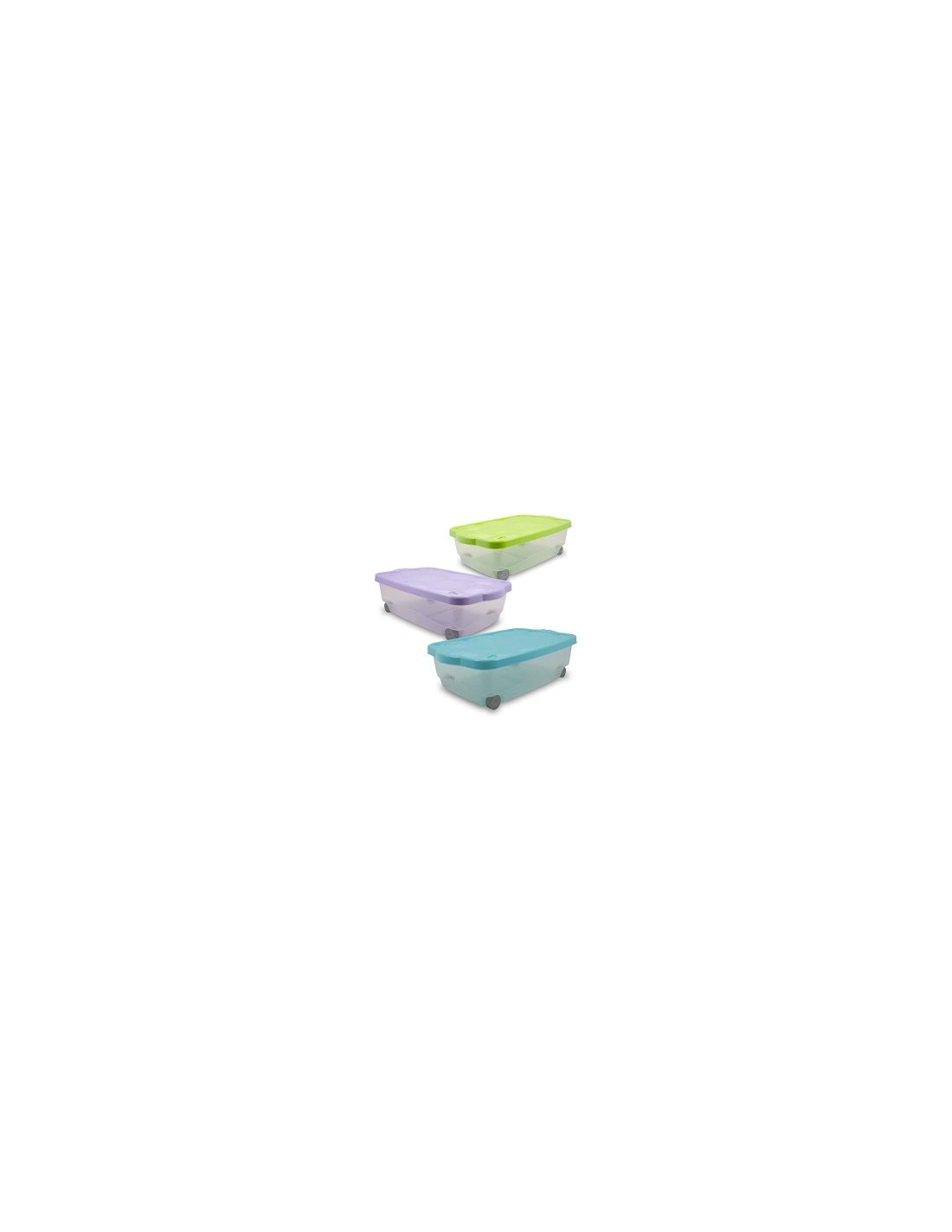 STORAGE BOX TARTARUGO COLORI ASSORTITI BELLI E FORTI su TreG Ingrosso