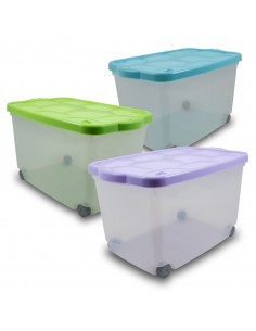 STORAGE BOX TARTARUGO BELLI E FORTI su TreG Ingrosso