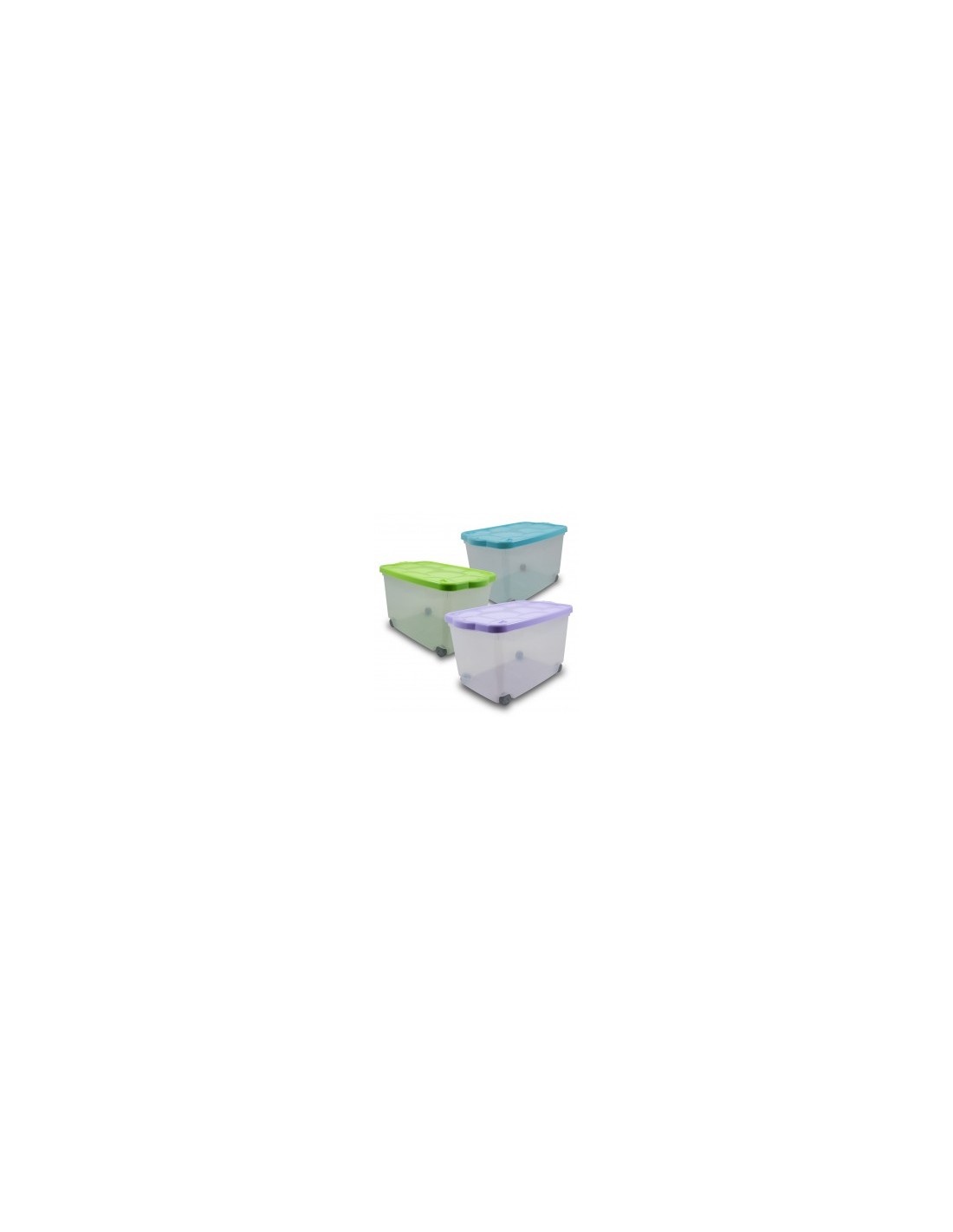 STORAGE BOX TARTARUGO BELLI E FORTI su TreG Ingrosso