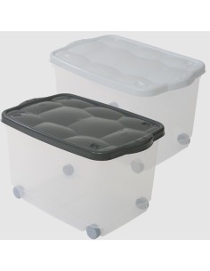 STORAGE BOX TARTARUGO BELLI E FORTI su TreG Ingrosso
