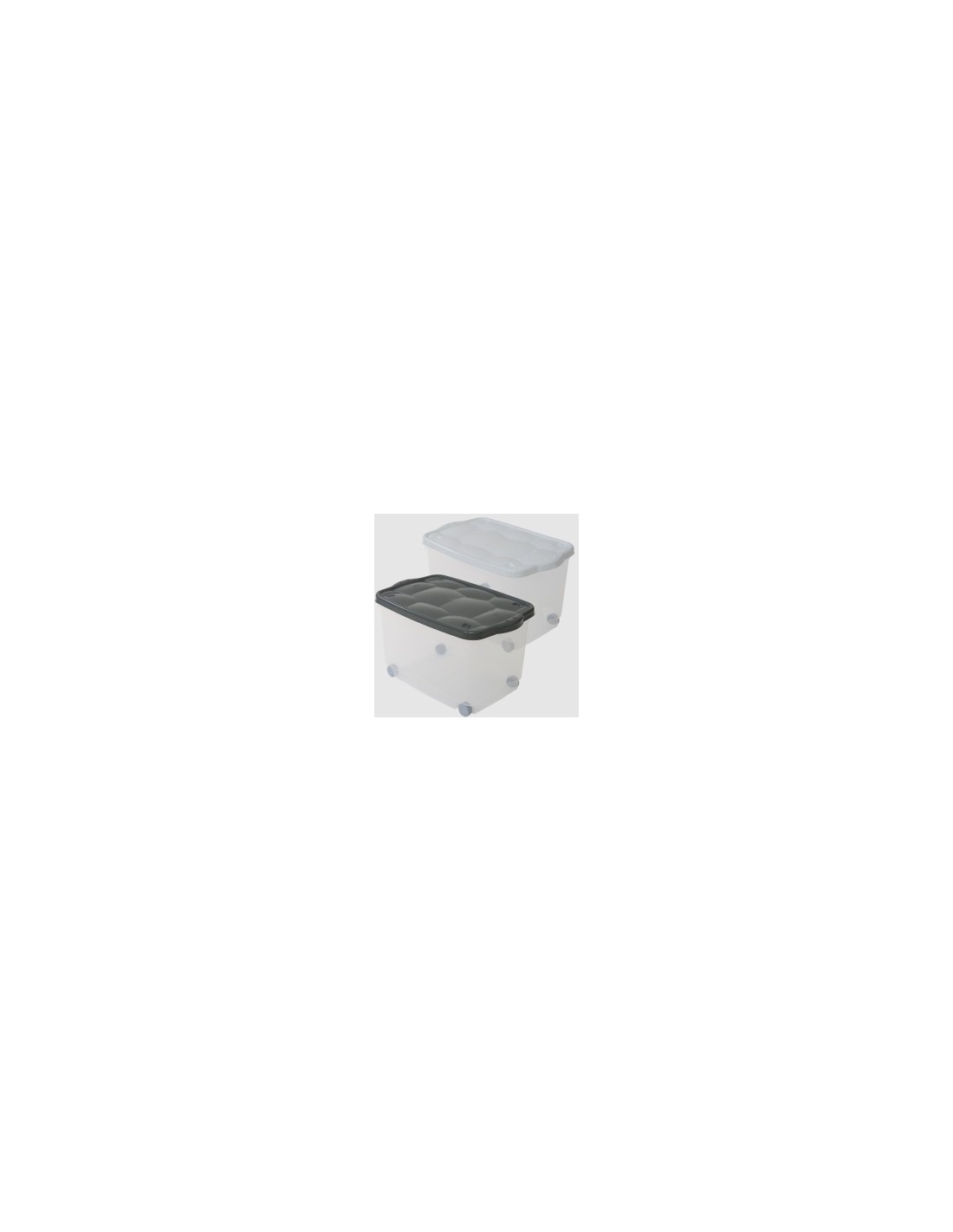 STORAGE BOX TARTARUGO BELLI E FORTI su TreG Ingrosso