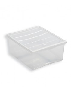 SPRING BOX CON COPERCHIO BELLI E FORTI su TreG Ingrosso