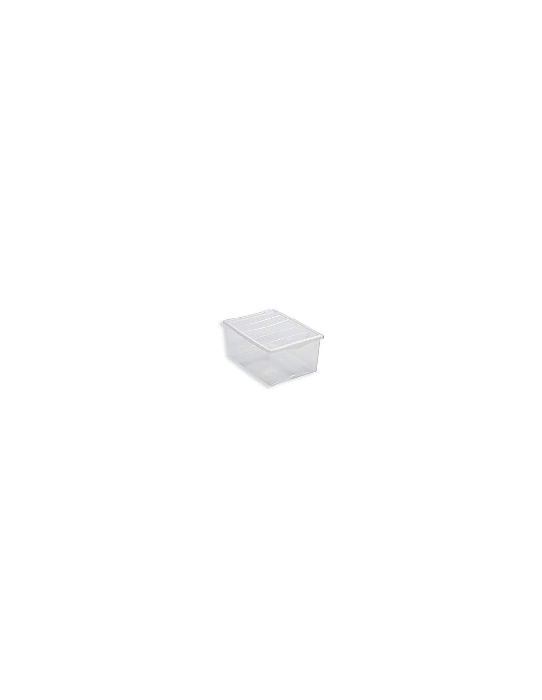STORAGE BOX SPRING L COLORE NEUTRO BELLI E FORTI su TreG Ingrosso