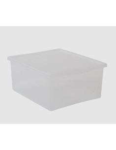 SPRING BOX CON COPERCHIO BELLI E FORTI su TreG Ingrosso