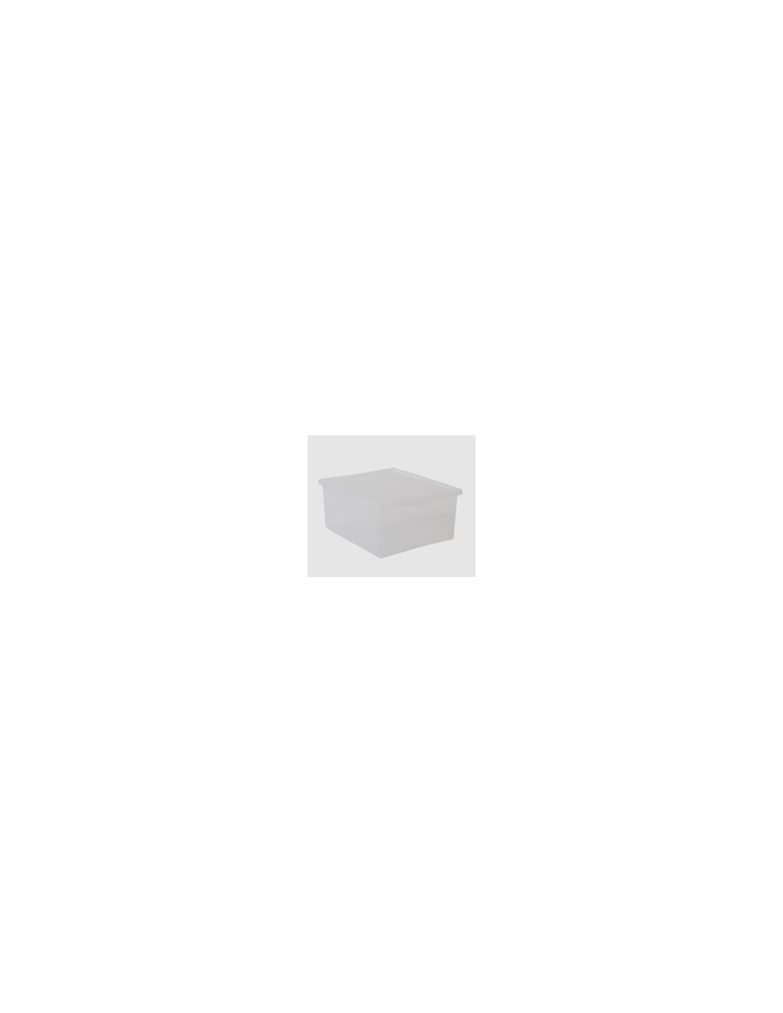 SPRING BOX CON COPERCHIO BELLI E FORTI su TreG Ingrosso