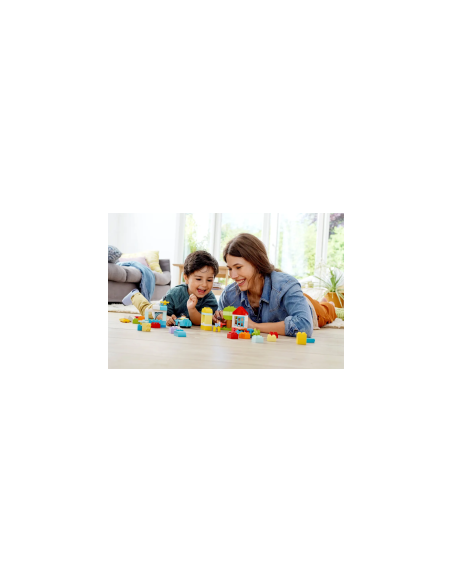 LEGO DUPLO CLASSIC CONTENITORE DI MATTONCINI 10913 su TreG Ingrosso
