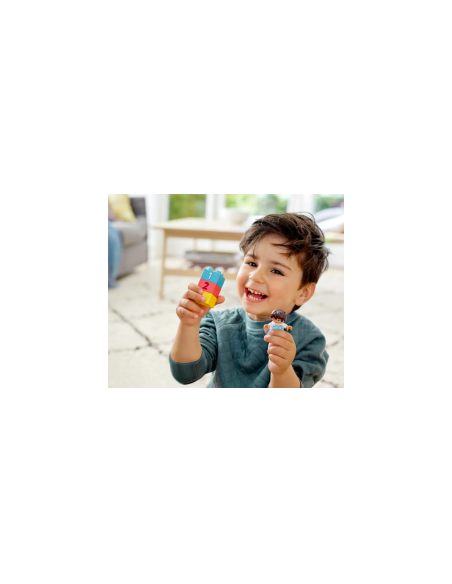 LEGO DUPLO CLASSIC CONTENITORE DI MATTONCINI 10913 su TreG Ingrosso