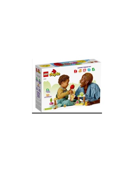 DUPLO 10983 MERCATO BIOLOGICO su TreG Ingrosso