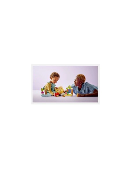 DUPLO 10983 MERCATO BIOLOGICO su TreG Ingrosso