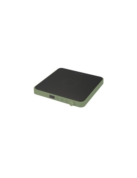 Tognana Iridea Piastra elettrica ad induzione 200-2000W colore verde salvia