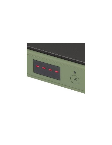 Tognana Iridea Piastra elettrica ad induzione 200-2000W colore verde salvia
