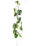 PIANTA 15910150-01 FILODENDRO VERDE 100CM