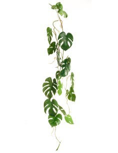 PIANTA 15910150-01 FILODENDRO VERDE 100CM