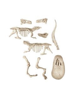 SCIENZA&GIOCHI 19144 VELOCIRAPTOR su TreG Ingrosso