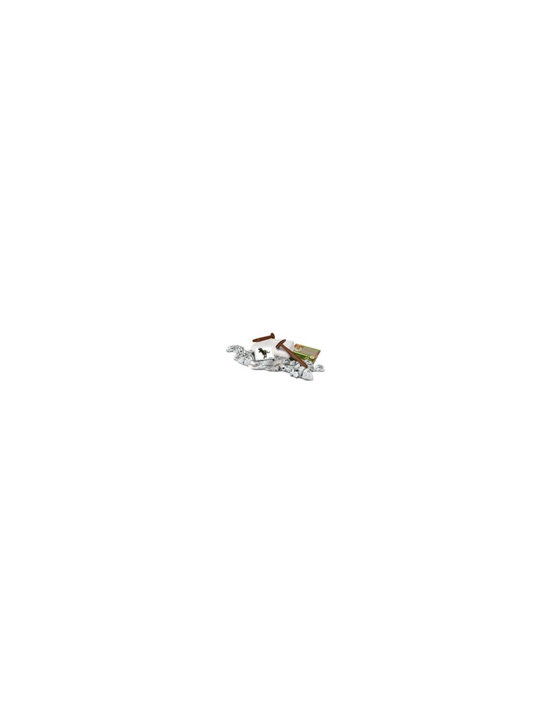 SCIENZA&GIOCHI 19144 VELOCIRAPTOR su TreG Ingrosso