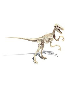 SCIENZA&GIOCHI 19144 VELOCIRAPTOR su TreG Ingrosso
